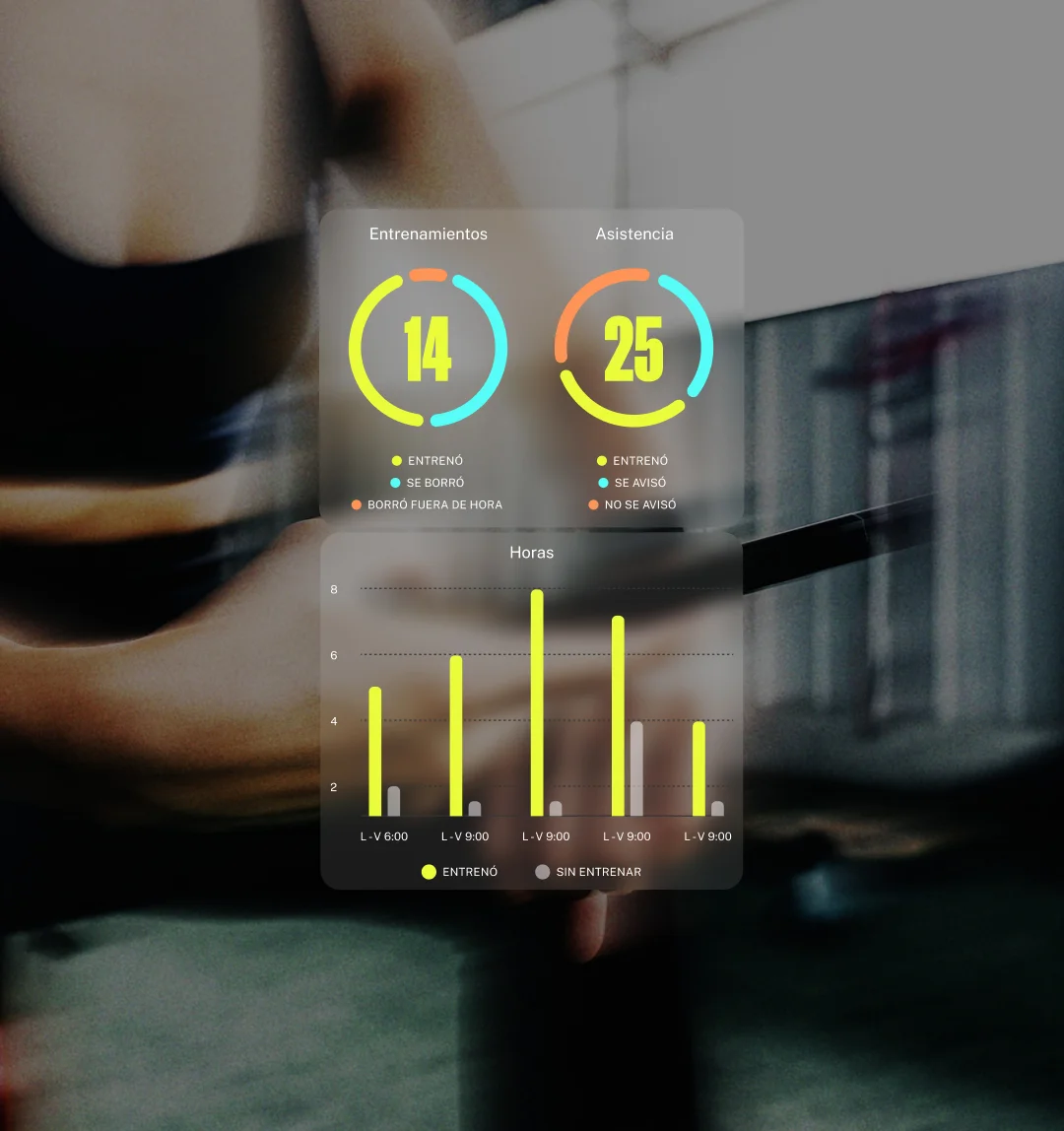 Dashboard y datos de entrenamientos